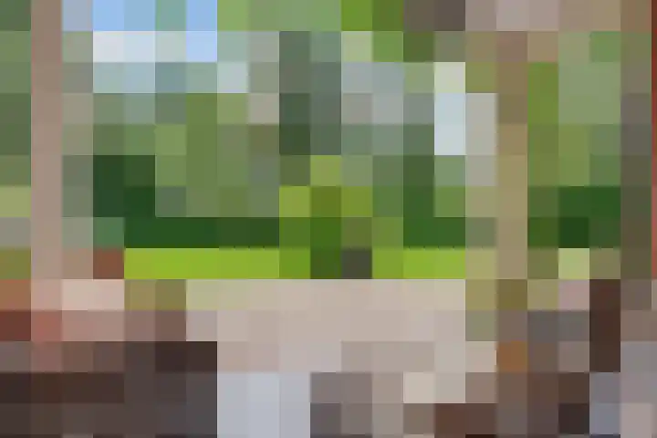 Jozef Israëlslaan 13 A Bosch en Duin thumbnail 7