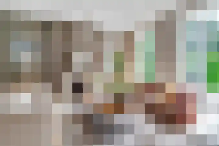 Jozef Israëlslaan 13 A Bosch en Duin thumbnail 8