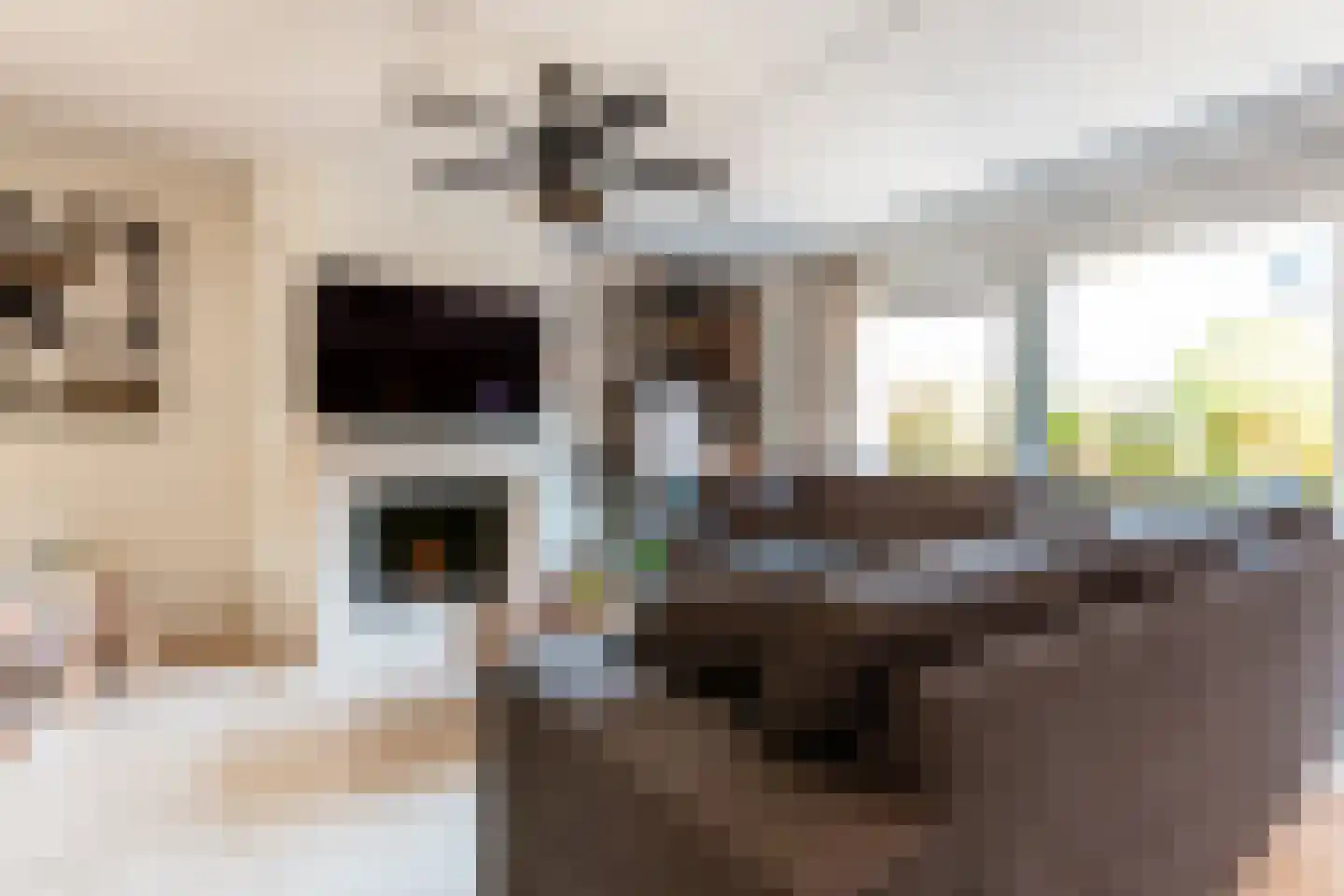 Jozef Israëlslaan 16 Almere thumbnail 13