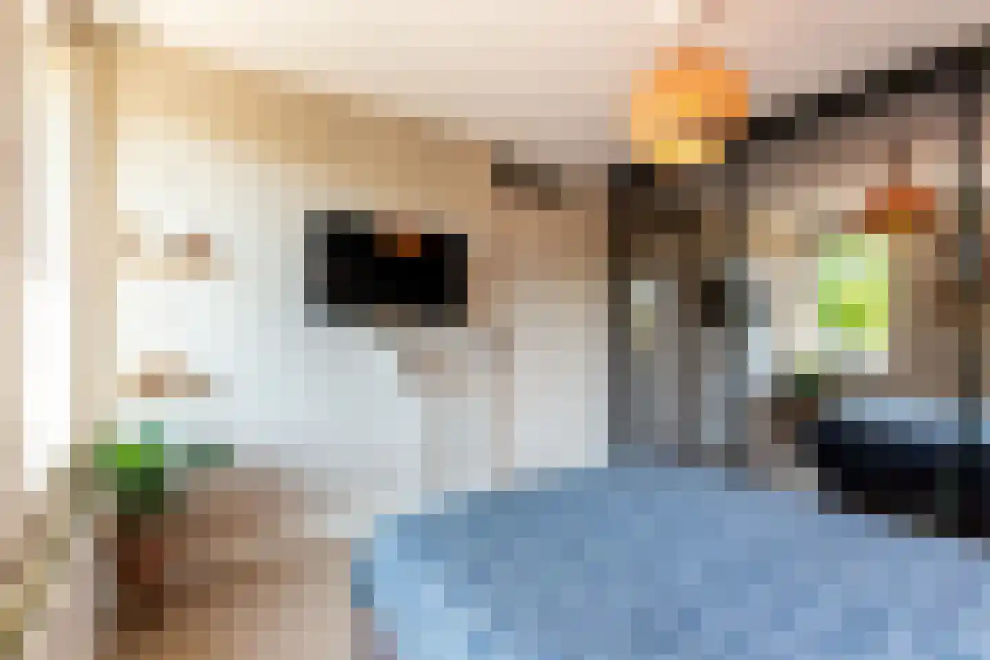 Jozef Israëlslaan 16 Almere thumbnail 22