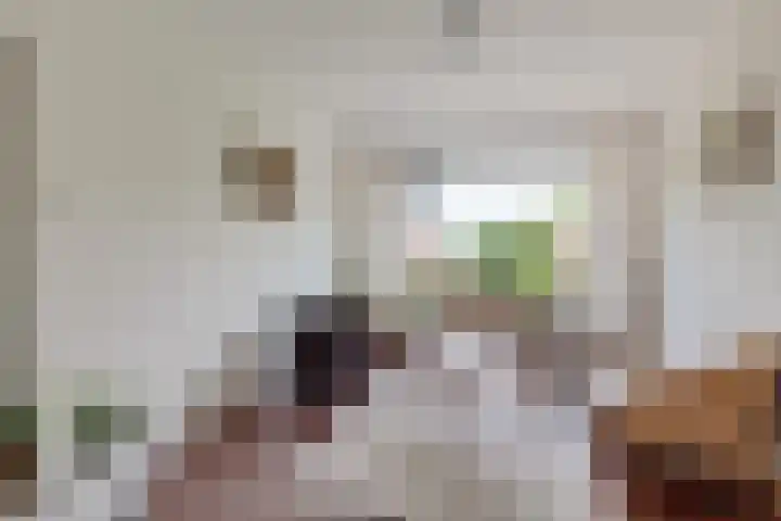 Jozef Israëlslaan 172 Rijswijk thumbnail 11