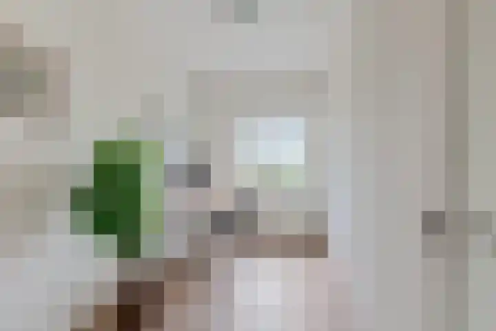 Jozef Israëlslaan 172 Rijswijk thumbnail 34