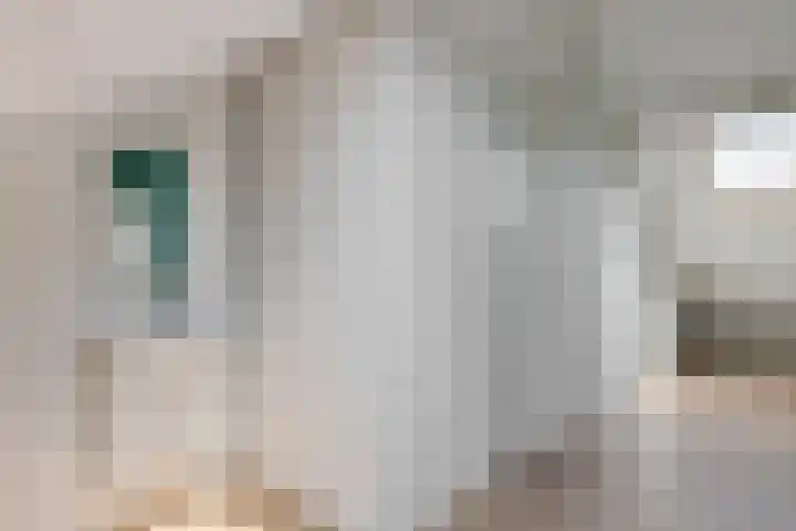 Jozef Israëlslaan 172 Rijswijk thumbnail 42