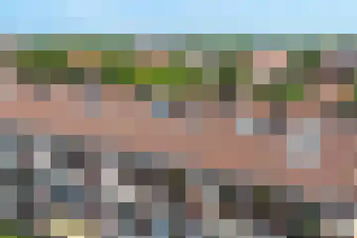 Jozef Israëlslaan 172 Rijswijk thumbnail 49