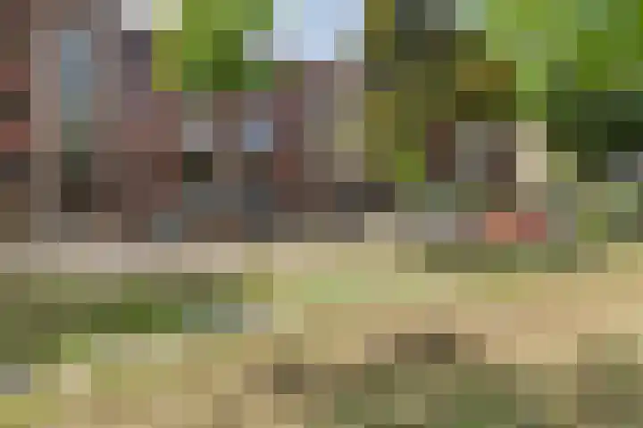 Jozef Israëlslaan 172 Rijswijk thumbnail 50