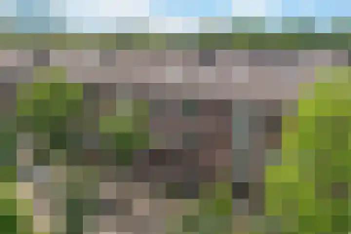 Jozef Israëlslaan 172 Rijswijk thumbnail 55