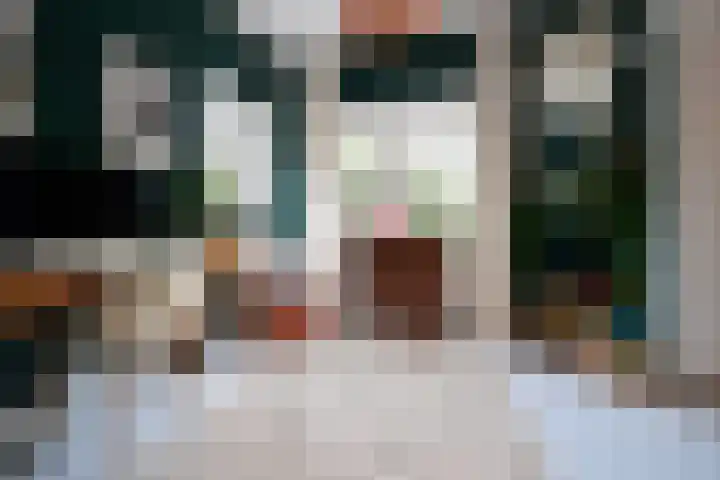 Jozef Israëlslaan 18 Bussum thumbnail 12