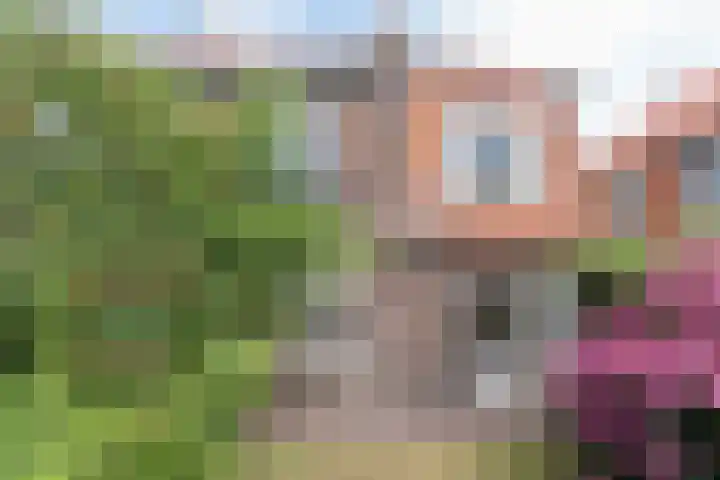 Jozef Israëlslaan 18 Bussum thumbnail 21