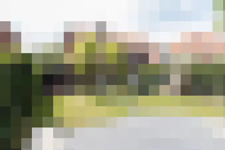 Jozef Israëlslaan 18 Bussum thumbnail 22