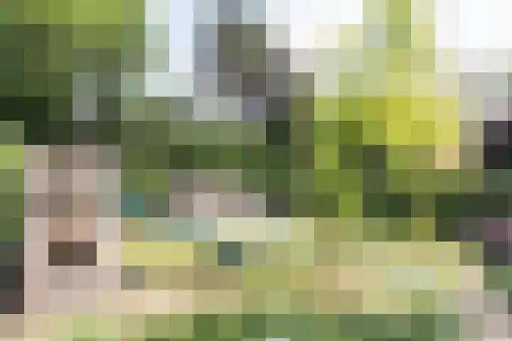 Jozef Israëlslaan 18 Bussum thumbnail 23