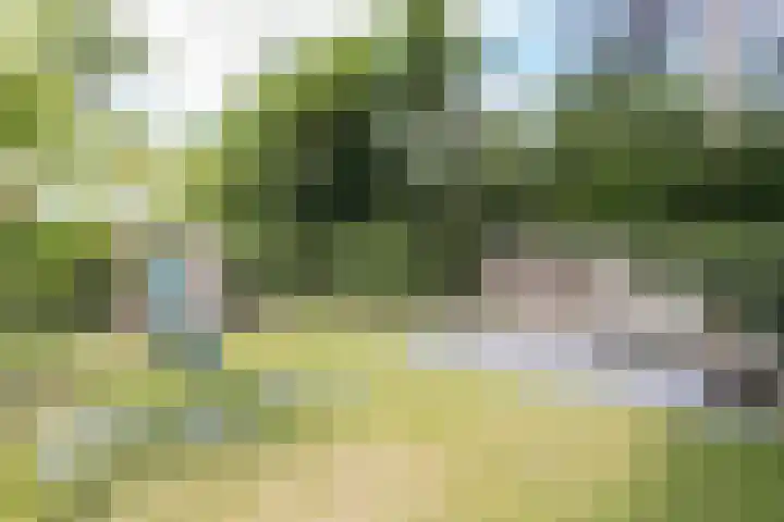 Jozef Israëlslaan 18 Bussum thumbnail 24