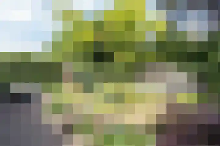 Jozef Israëlslaan 18 Bussum thumbnail 25