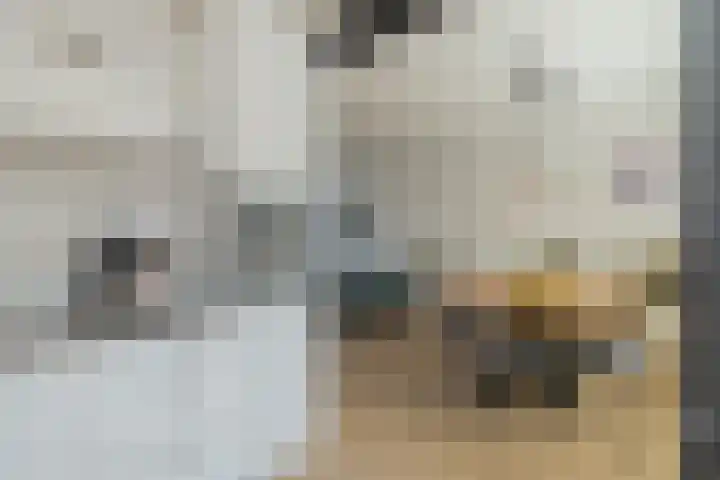 Jozef Israëlslaan 19 Hillegom thumbnail 13