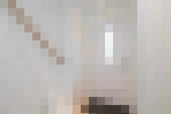 Jozef Israëlslaan 19 Hillegom thumbnail 21
