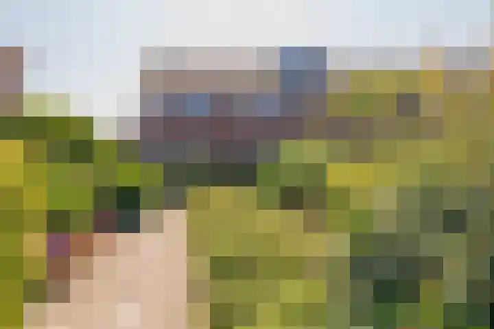 Jozef Israëlslaan 19 Hillegom thumbnail 42