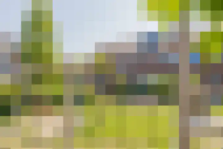 Jozef Israëlslaan 19 Hillegom thumbnail 43