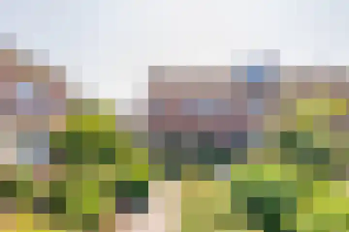 Jozef Israëlslaan 19 Hillegom thumbnail 50