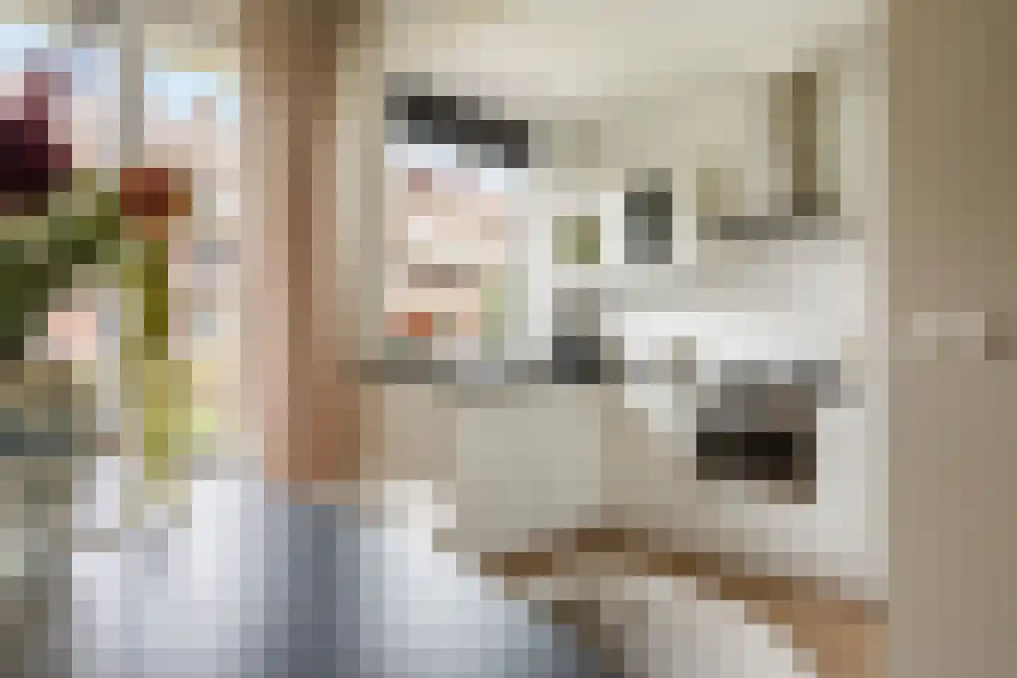 Jozef Israëlslaan 200 Rijswijk thumbnail 12