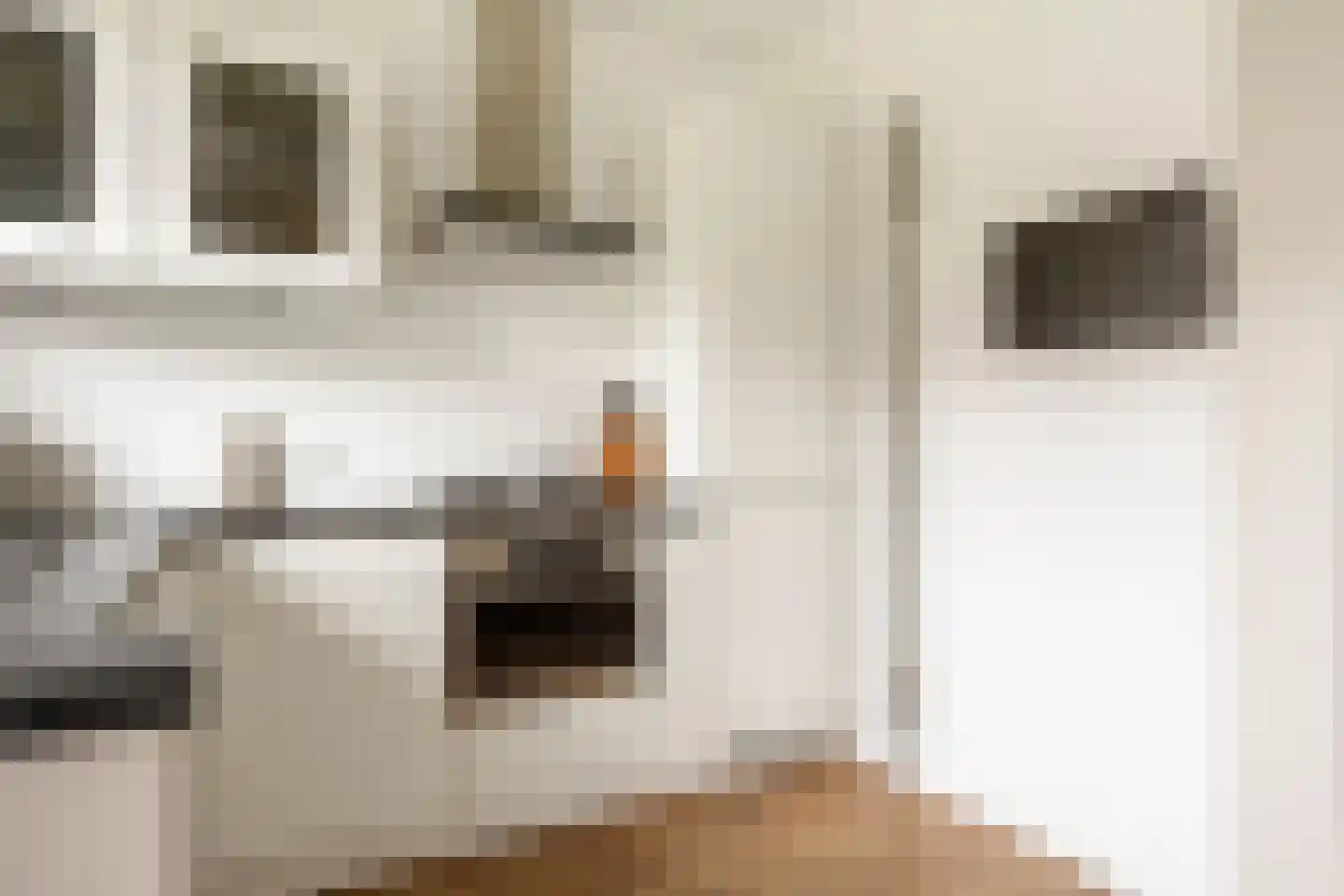 Jozef Israëlslaan 200 Rijswijk thumbnail 15