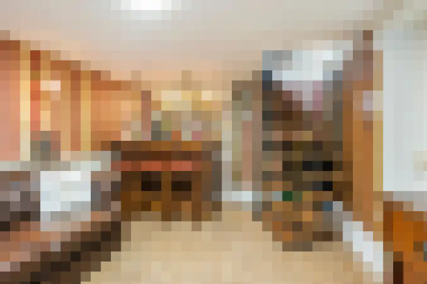 Jozef Israëlslaan 200 Rijswijk thumbnail 28