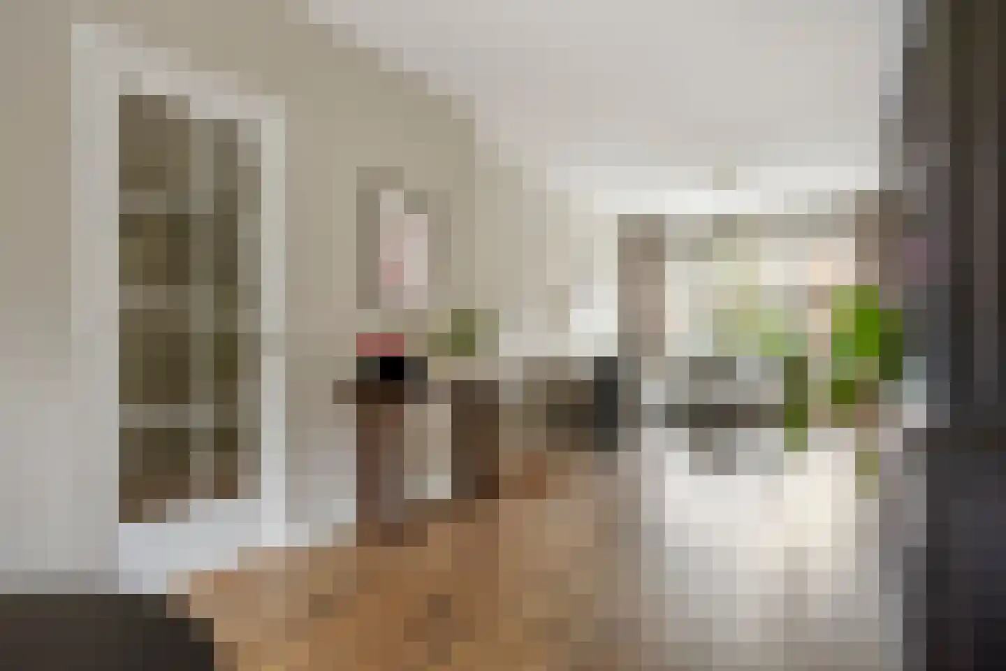 Jozef Israëlslaan 200 Rijswijk thumbnail 7