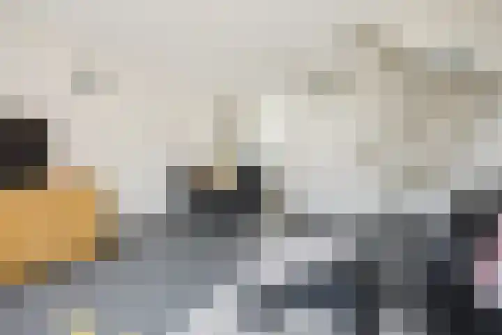 Jozef Israëlslaan 21 Eindhoven thumbnail 12