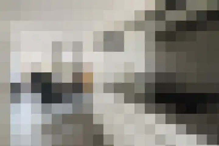 Jozef Israëlslaan 21 Eindhoven thumbnail 16