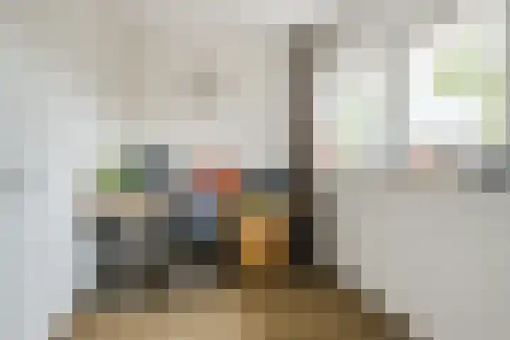 Jozef Israëlslaan 21 Eindhoven thumbnail 23