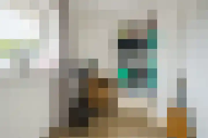 Jozef Israëlslaan 21 Eindhoven thumbnail 24