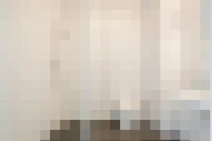 Jozef Israëlslaan 21 Eindhoven thumbnail 25