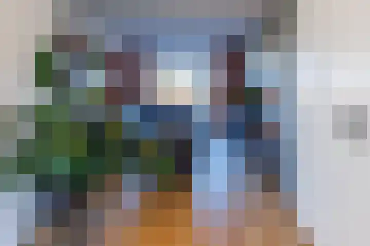 Jozef Israëlslaan 220 Rijswijk thumbnail 15
