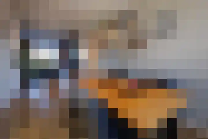Jozef Israëlslaan 220 Rijswijk thumbnail 17