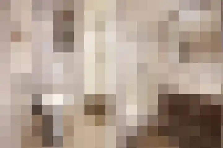 Jozef Israëlslaan 220 Rijswijk thumbnail 20