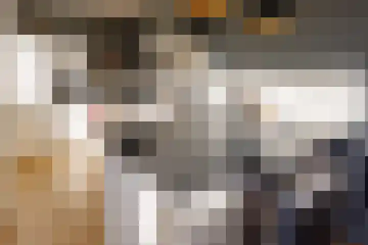 Jozef Israëlslaan 220 Rijswijk thumbnail 22