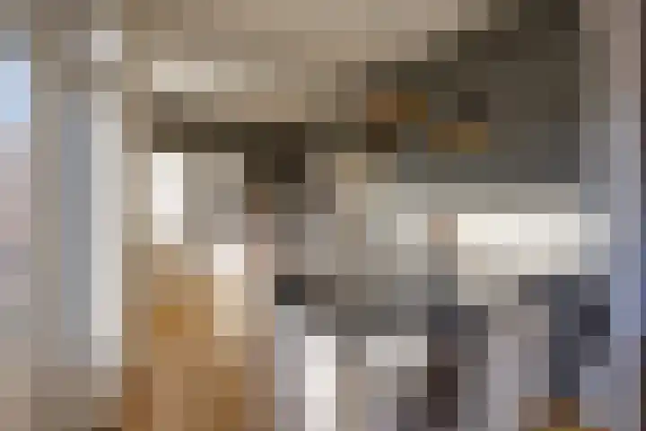 Jozef Israëlslaan 220 Rijswijk thumbnail 23