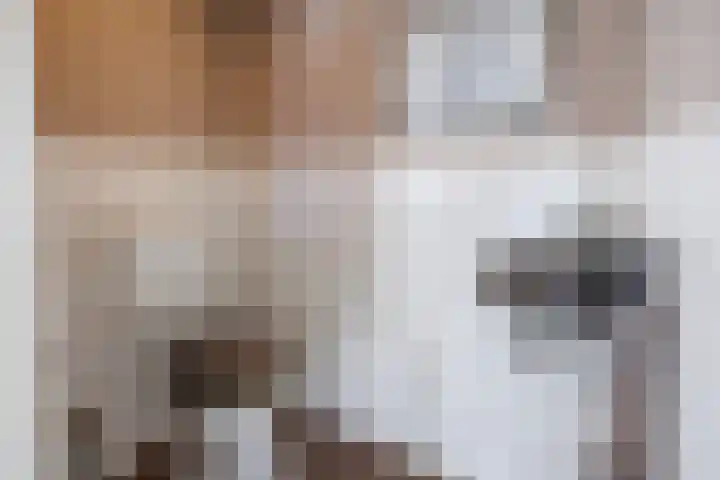 Jozef Israëlslaan 220 Rijswijk thumbnail 42