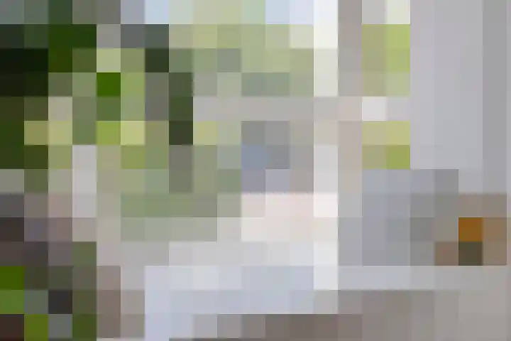 Jozef Israëlslaan 23 Eindhoven thumbnail 11