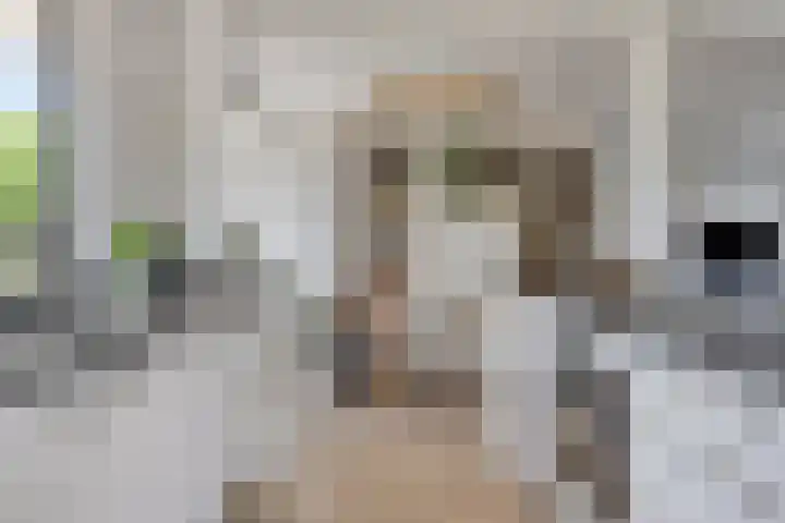 Jozef Israëlslaan 23 Eindhoven thumbnail 14
