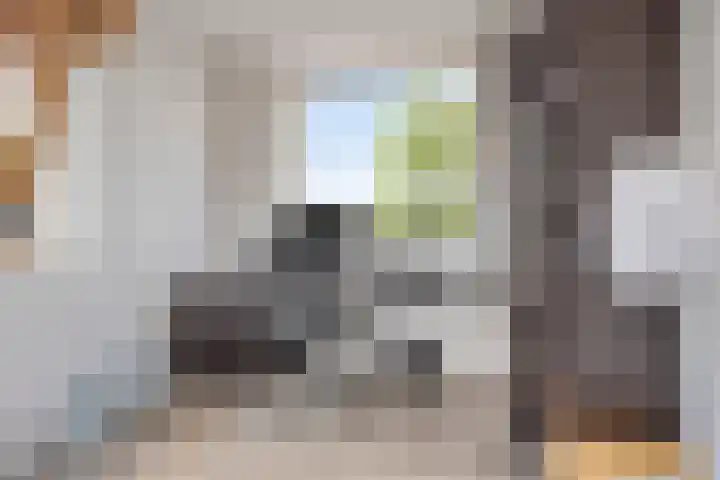 Jozef Israëlslaan 23 Eindhoven thumbnail 31