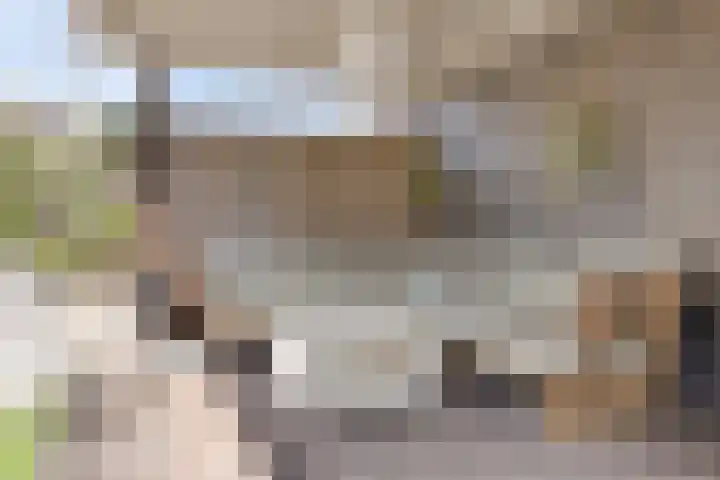 Jozef Israëlslaan 23 Eindhoven thumbnail 35
