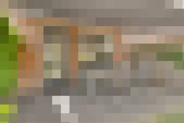 Jozef Israëlslaan 23 Eindhoven thumbnail 36