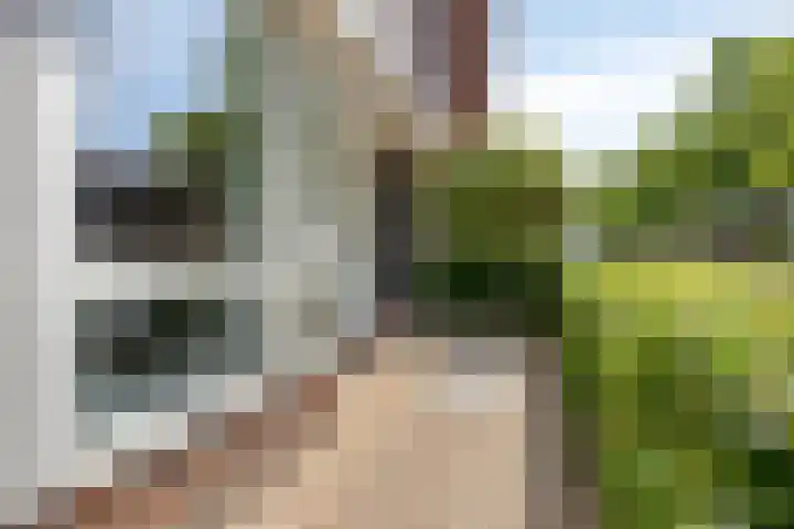 Jozef Israëlslaan 23 Eindhoven thumbnail 4