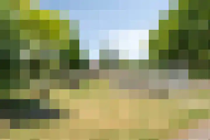 Jozef Israëlslaan 23 Eindhoven thumbnail 43