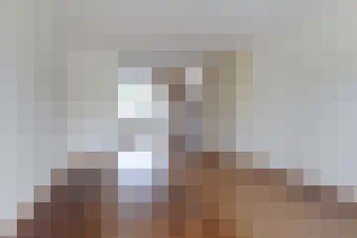 Jozef Israëlslaan 257 Rijswijk thumbnail 10