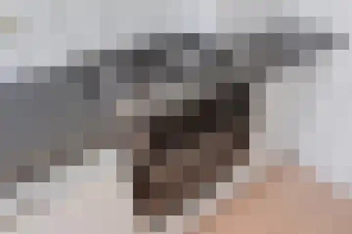 Jozef Israëlslaan 257 Rijswijk thumbnail 14