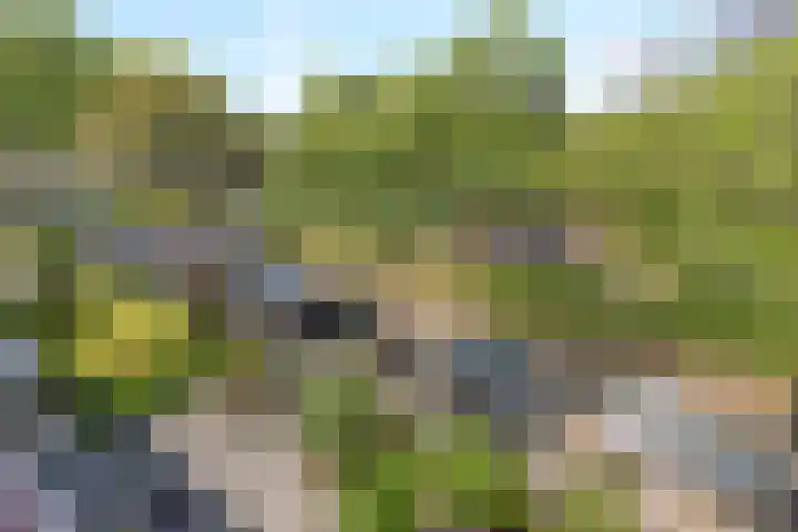 Jozef Israëlslaan 257 Rijswijk thumbnail 32