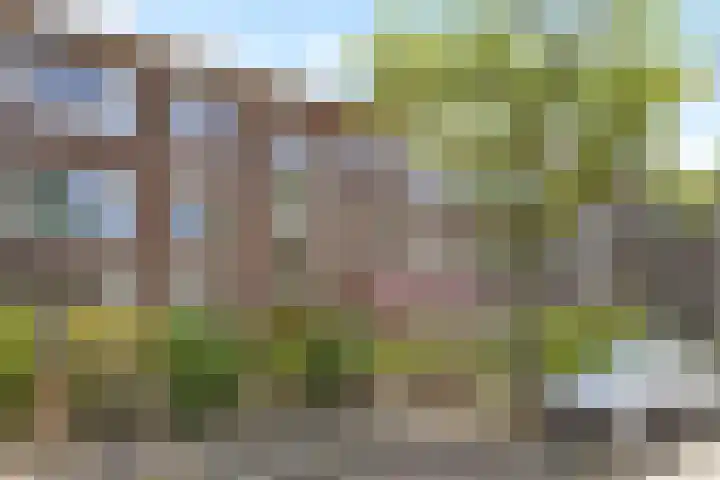 Jozef Israëlslaan 257 Rijswijk thumbnail 33