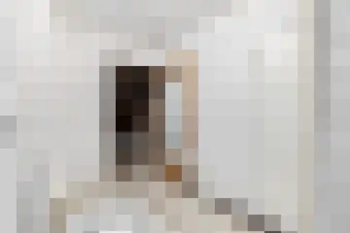 Jozef Israëlslaan 269 Rijswijk thumbnail 30