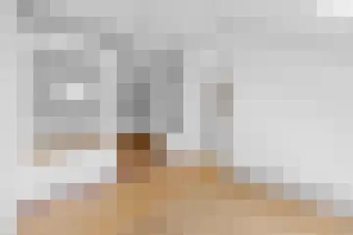 Jozef Israëlslaan 269 Rijswijk thumbnail 35