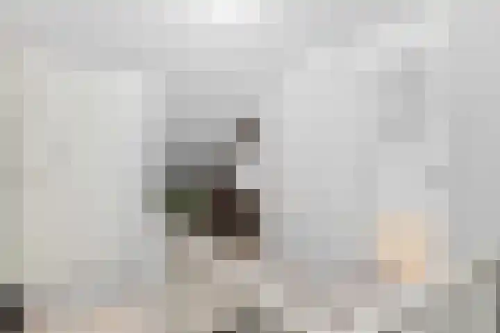 Jozef Israëlslaan 269 Rijswijk thumbnail 36